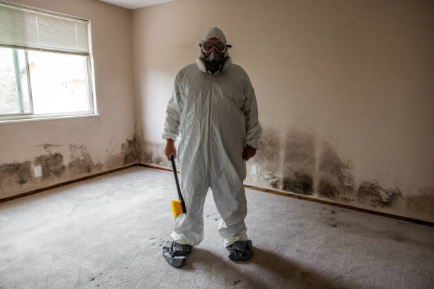 Best Residential Mold Inspection & Testing  in Reidland, KY